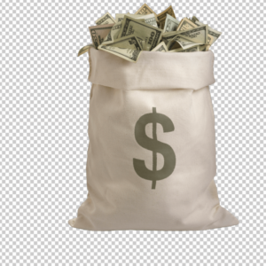 100-dollar-bag-png