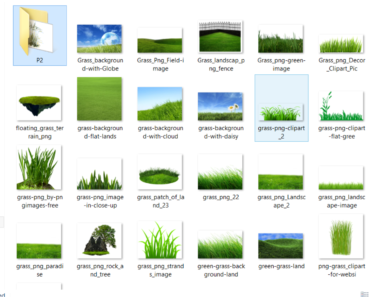Grass PNG images Transparent Backgorund