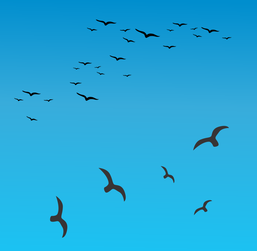 Hawk-Flying-Silhouette-Vector-free
