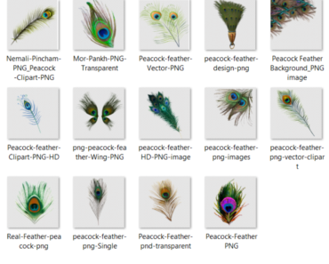 Peacock Feather PNG