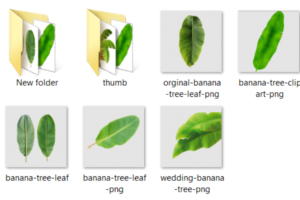Banana Leaf PNG