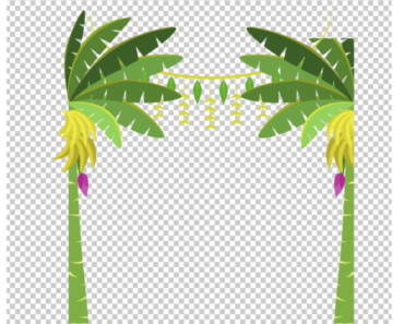 Banana Tree Vector PNG