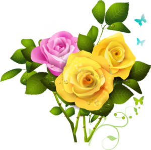 Clipart_Yellow_and_Pink_Rose_PNG