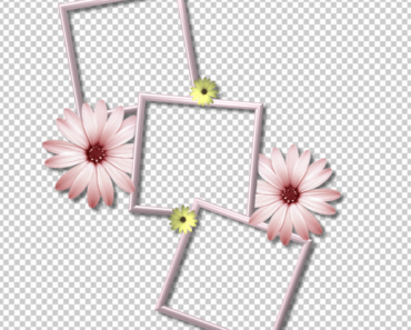 3 Photo Collage Frame PNG