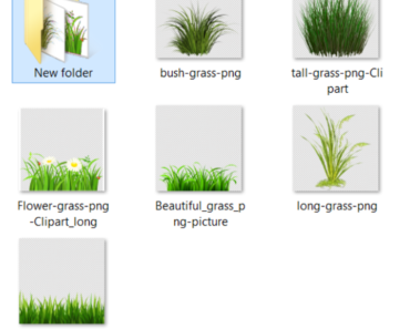 Tall Grass PNG Clipart images cutout in Photoshop