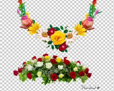 Death Flower PNG Transparent