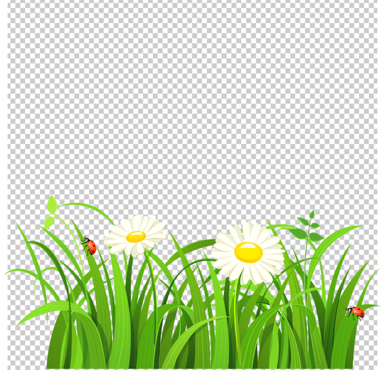 Flower-grass-png-Clipart_long