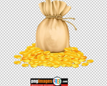 Gold Coin Clipart PNG