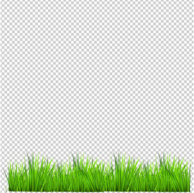 Green-grass-tall-png-image