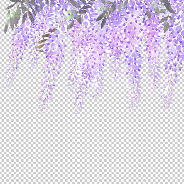 Lavender-Background-PNG