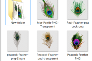Mor Pankh PNG Peacock Feather