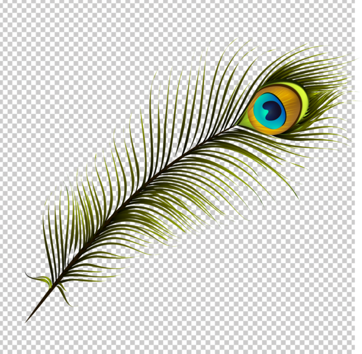 Nemali-Pincham-PNG_Peacock-Clipart-PNG