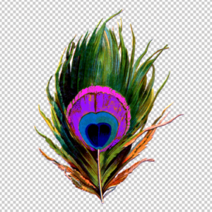 Peacock-Feather-PNG