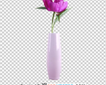 Pink Single Flower in Vase PNG Free Download