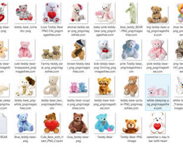 Teddy Bear PNG Free download