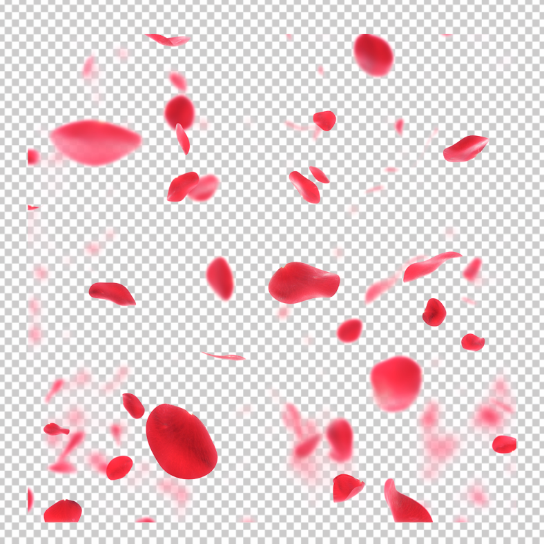 falling-rose-petals-png