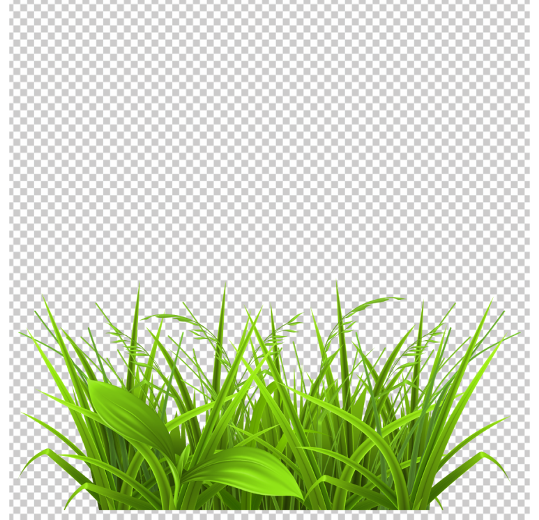 grass-clipart-transparent