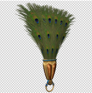 peacock-feather-design-png