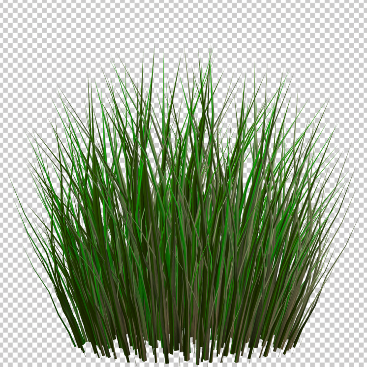 tall-grass-png-Clipart