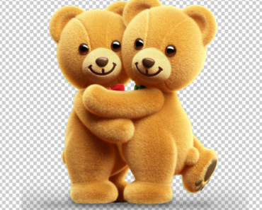 Teddy Bear Couple PNG